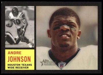 17 Andre Johnson